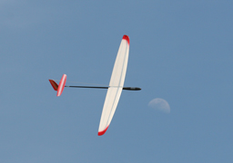 Yamamoto/Moon